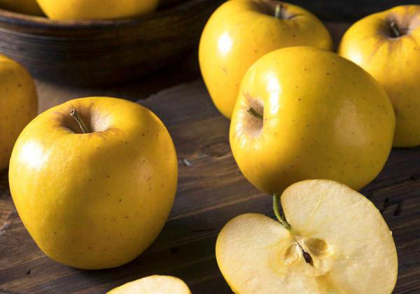 فروش مستقیم سیب زرد ارگانیک