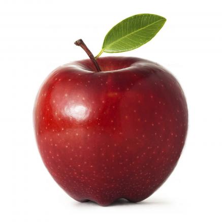 صادرکنندگان بهترین  سیب قرمز مجلسی