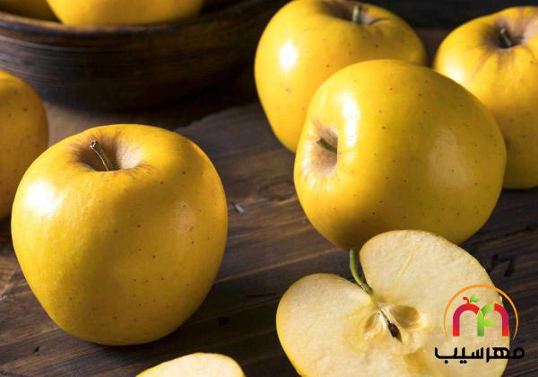 بازرگانی انواع سیب زرد درجه یک ایرانی
