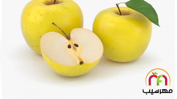 بهترین تولیدکنندگان انواع سیب درختی زرد