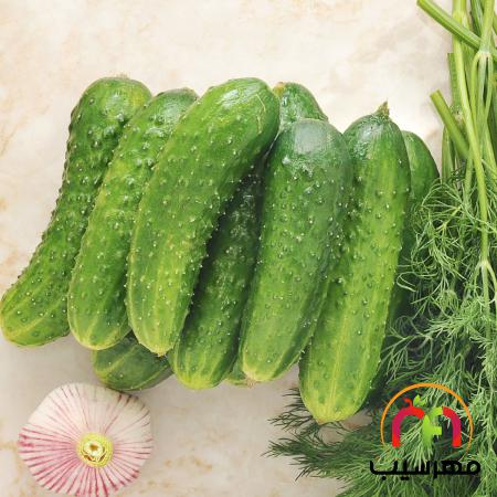 فروشگاه عرضه خیار سبز گلخانه ای درجه یک