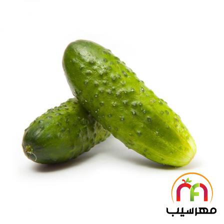 مزایا خرید بی واسطه خیار خاردار ارزان