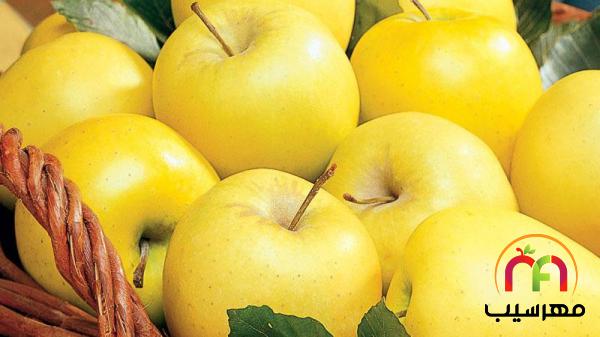 فروش انواع سیب زرد ارگانیک