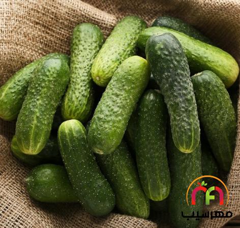 خواص عجیب غریب خوردن خیار در صبح