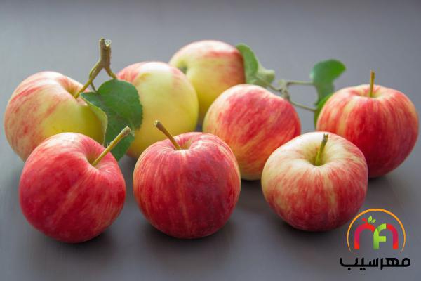 توزیع کنندگان برترین انواع سیب ارگانیک