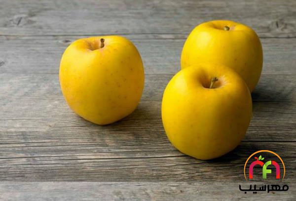 ارائه کننده سیب زرد باکیفیت