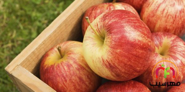 کاهش تهوع در بارداری با خوردن سیب