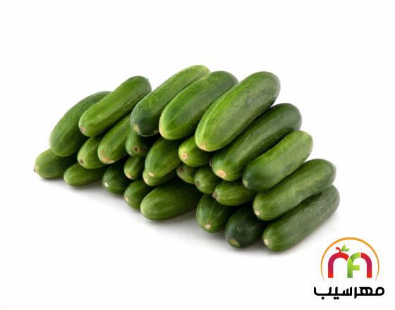 صادرات عمده خیار مجلسی گلخانه ای