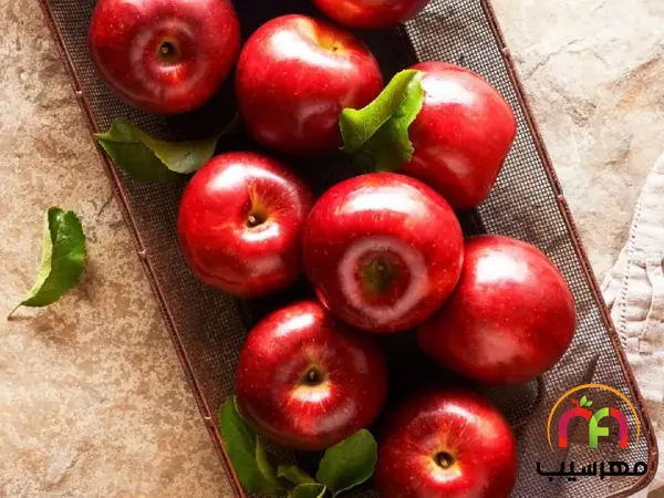 صادرات انواع سیب درختی ارومیه