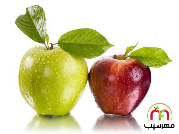 عرضه کنندگان سیب درختی ژاپنی