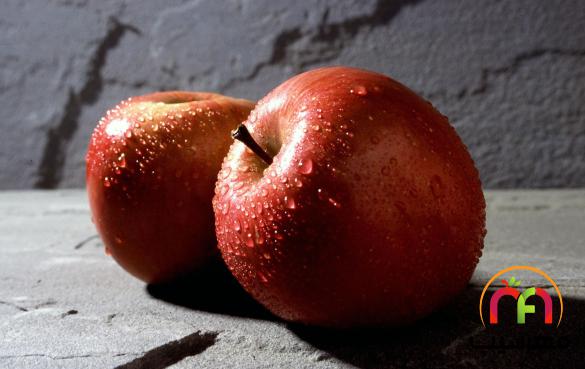 فروش ویژه انواع سیب قرمز صادراتی