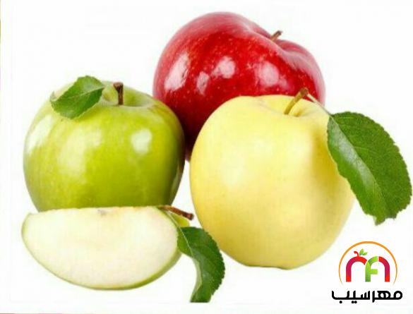 عرضه کنندگان انواع سیب درختی سبز