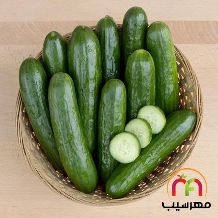 سفارش خرید خیار ارگانیک عمده