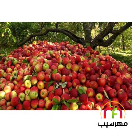 عرضه کنندگان بی واسطه سیب گلخانه ای