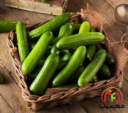 آخرین قیمت خیار ارگانیک ویژه