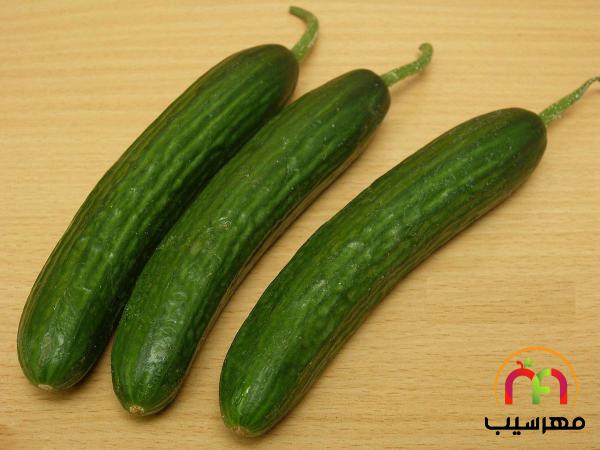 همه چیز درباره خیار گلخانه ای درجه دو